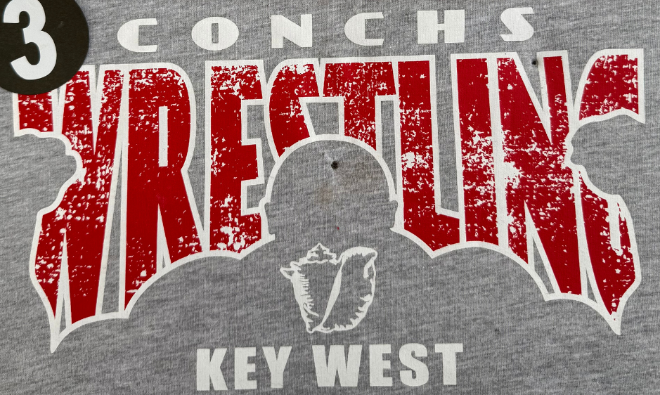 Youth - Wrestling #3 T-Shirt or Dri-Fit