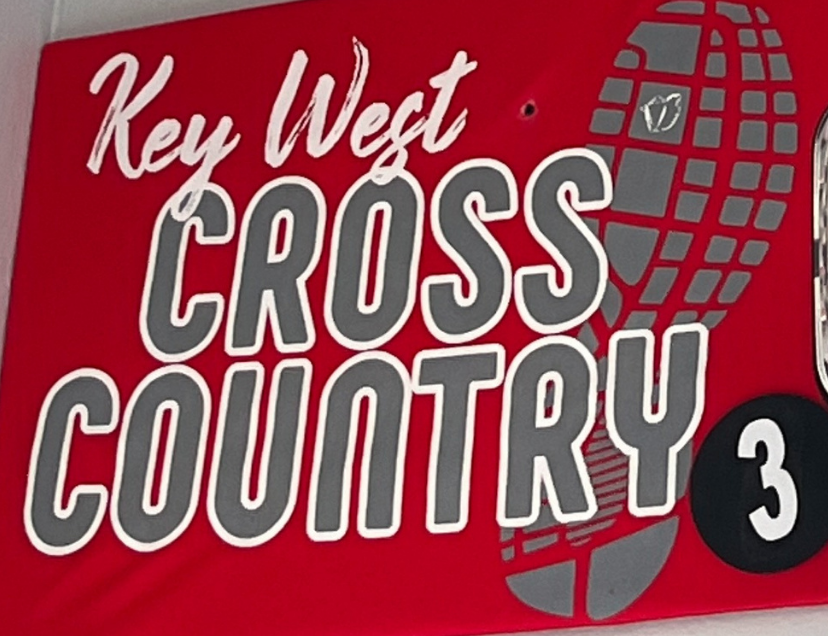 Adult - Cross Country #3 T-Shirt or Dri-Fit