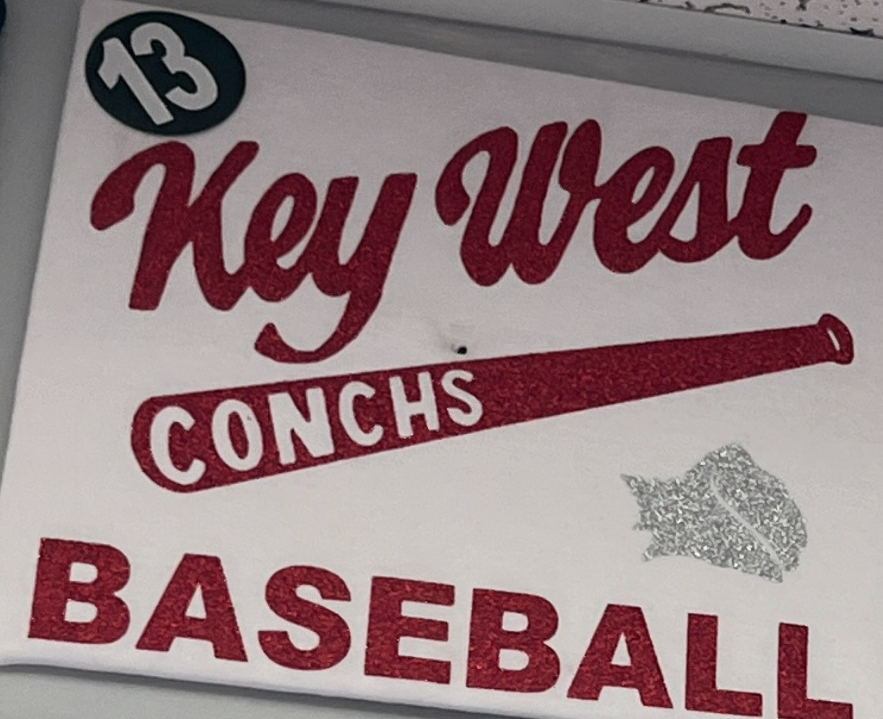Adult - Baseball #13 T-Shirt or Dri-Fit