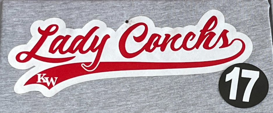 Ladies - Softball #17 T-Shirt or Dri-Fit