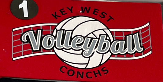 Adult - Volleyball #1 T-Shirt or Dri-Fit