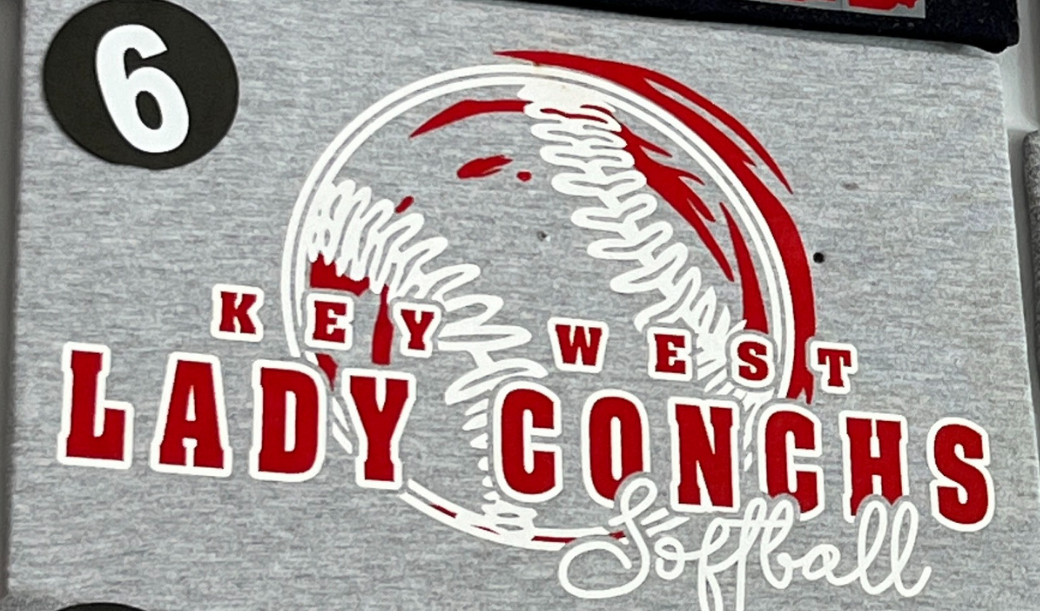 Ladies - Softball #6 T-Shirt or Dri-Fit